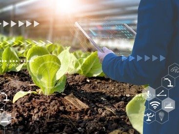 AGRO NEGÓCIOS SEQUOIA SOLUTIONS